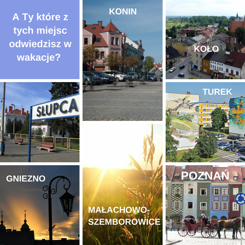 Doradztwo specjalistyczne.